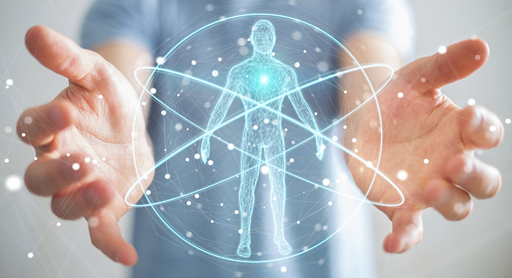 Anatomy & Physiology for Beginners 